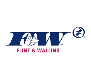 Flint & Walling 3hp Sub Pump Mtr 1 Phase 3wire